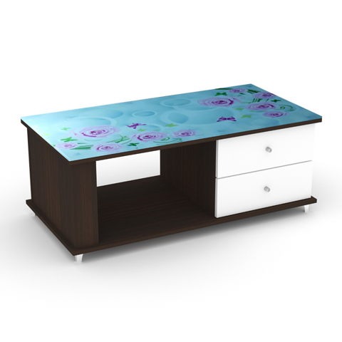SCT 314 Coffee Table